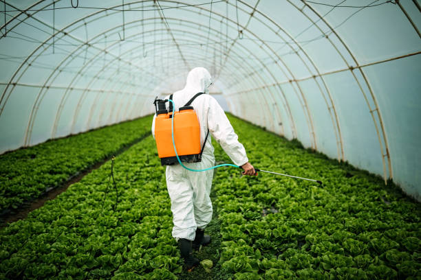 Best Pest Prevention Services  in Leawood, KS