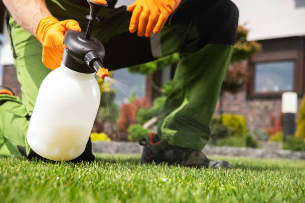 Best Wildlife Control Services  in Leawood, KS