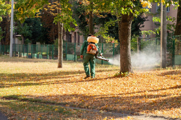 Best Exterminator Services  in Leawood, KS