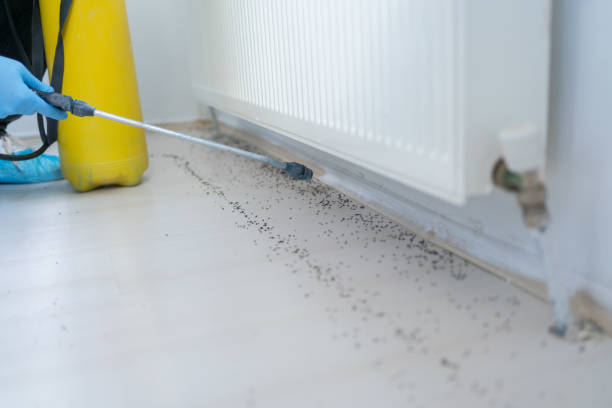 Best Insect Control  in Leawood, KS