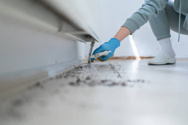 Best Pest Inspection Near Me  in Leawood, KS